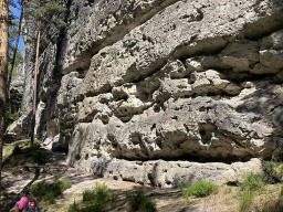 Östlicher Feldkopf